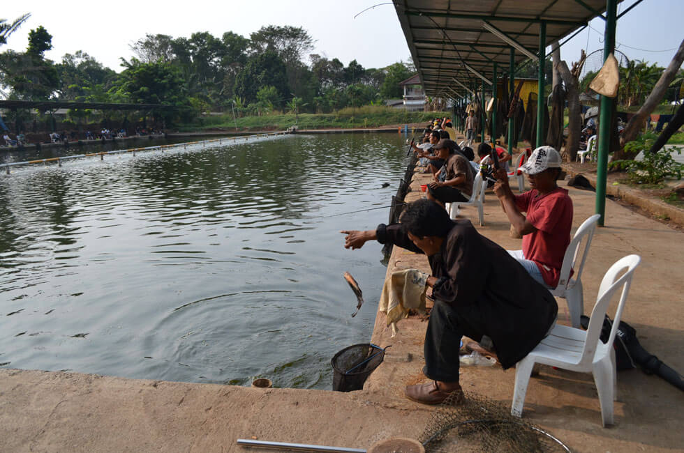 4 Recomendasi Wisata Kolam Pemancingan Bawal Tangerang